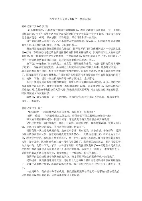 初中优秀作文范文600字(精彩5篇)