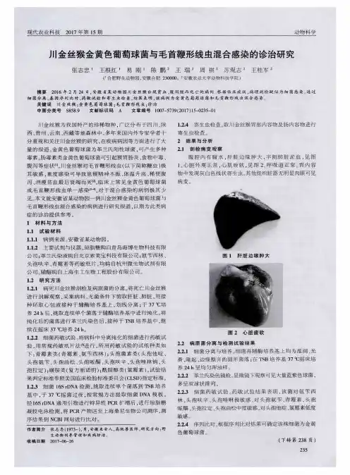 川金丝猴金黄色葡萄球菌与毛首鞭形线虫混合感染的诊治研究