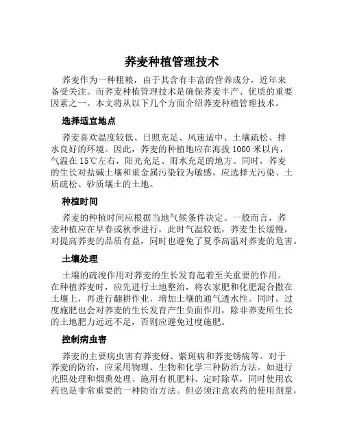 荞麦种植管理技术