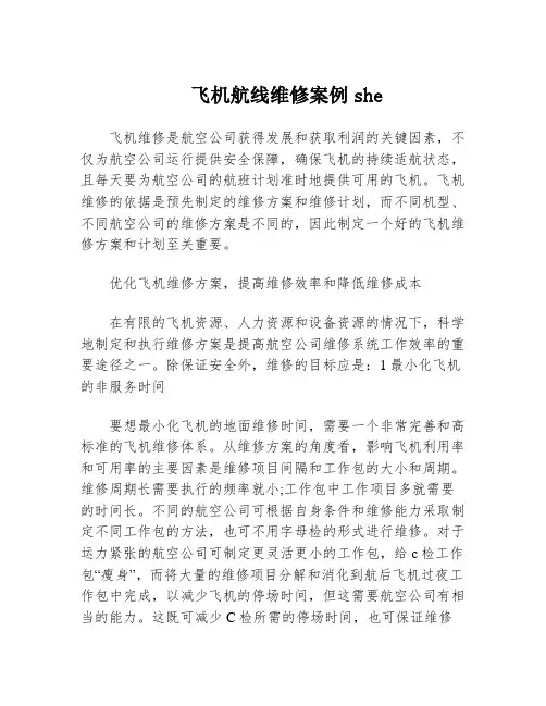 飞机航线维修案例she