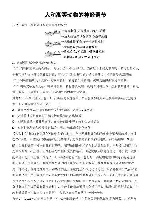 (新高考) 高三生物专题精练  人和高等动物的神经调节 (答案)