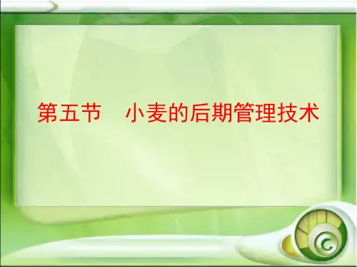 高教版农作物生产技术第二章第五节小麦的后期管理技术