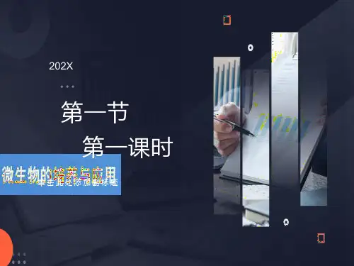 微生物的培养基一课件