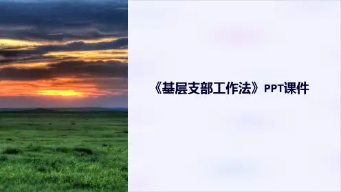 《基层支部工作法》课件