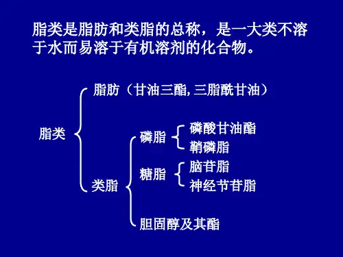 生物化学脂化学