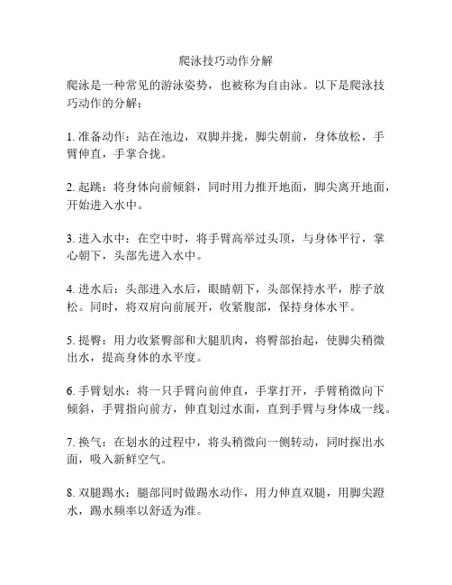 爬泳技巧动作分解