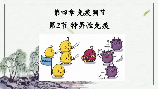特异性免疫课件(共38张PPT)-(2024年)高二上学期生物人教版选择性必修1