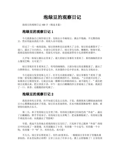 泡绿豆的观察日记