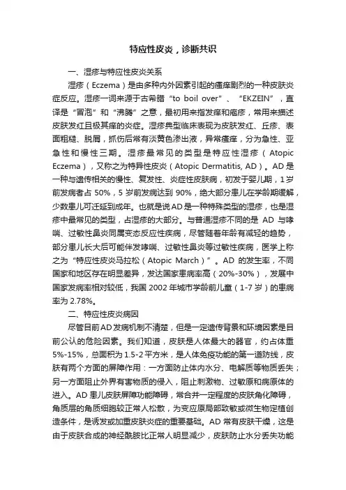 特应性皮炎，诊断共识