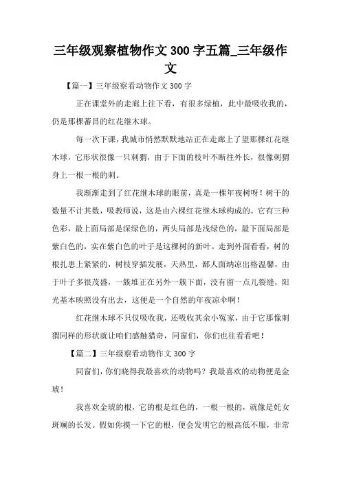 三年级观察植物作文300字五篇_三年级作文