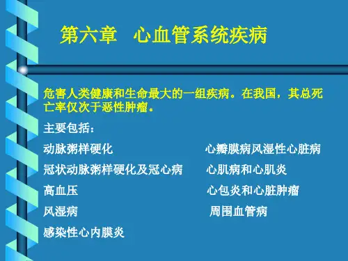 病理学第六章心血管系统疾病