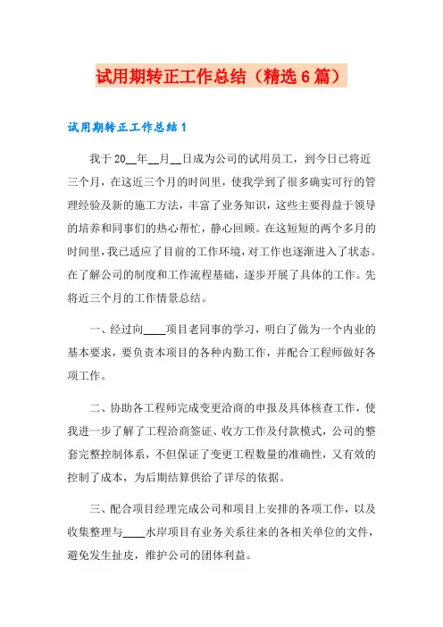 试用期转正工作总结(精选6篇)
