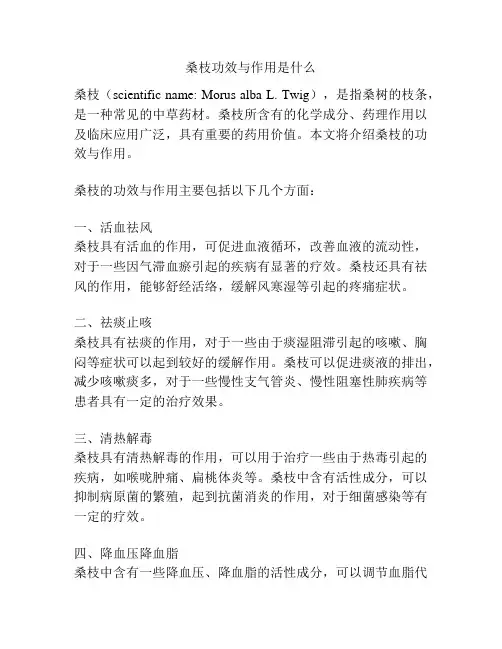 桑枝功效与作用是什么