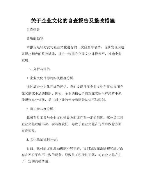 关于企业文化的自查报告及整改措施