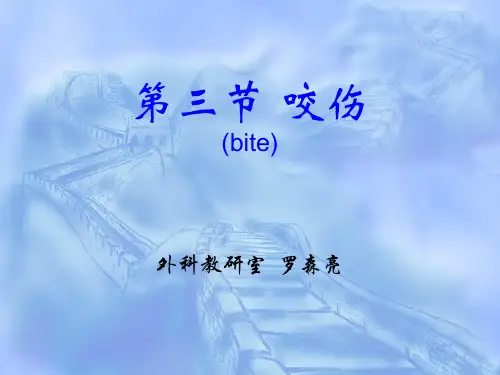 第三节咬伤(bite)