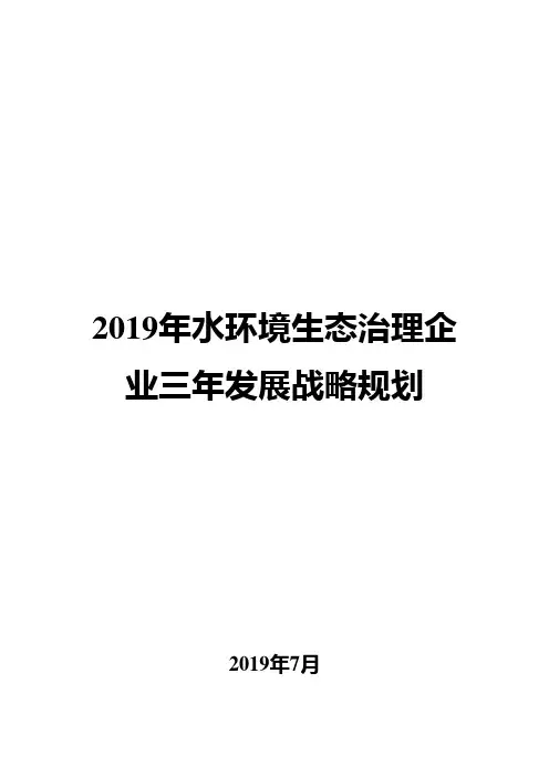 2019年水环境生态治理企业三年发展战略规划