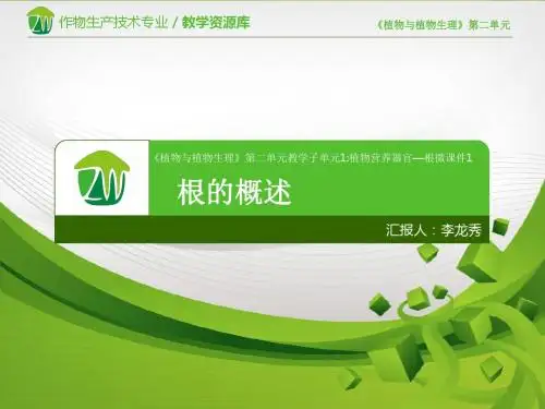 植物的营养器官-根的概述.