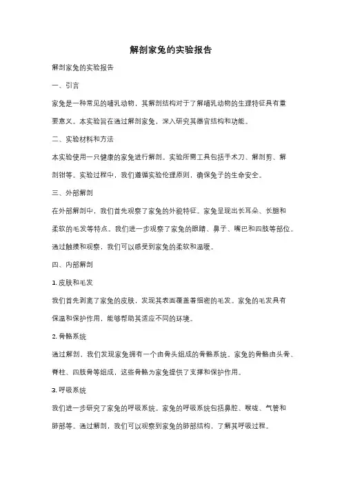 解剖家兔的实验报告