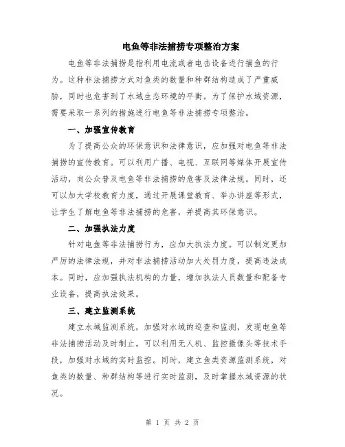 电鱼等非法捕捞专项整治方案