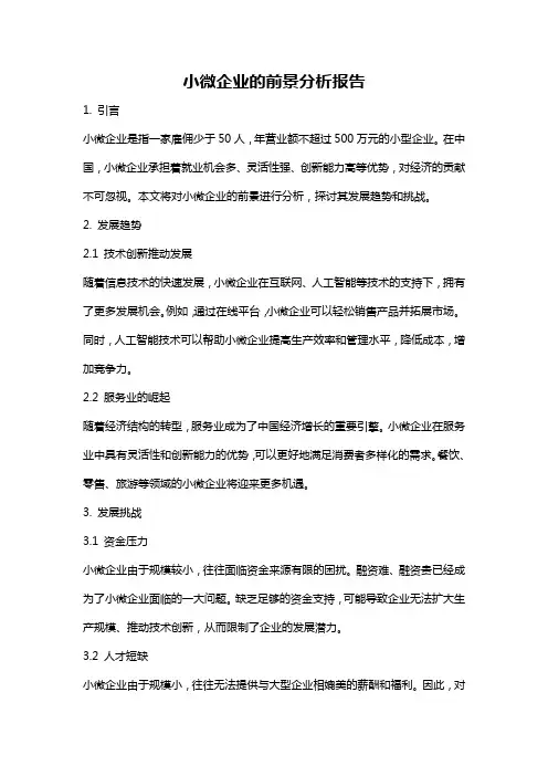 小微企业的前景分析报告