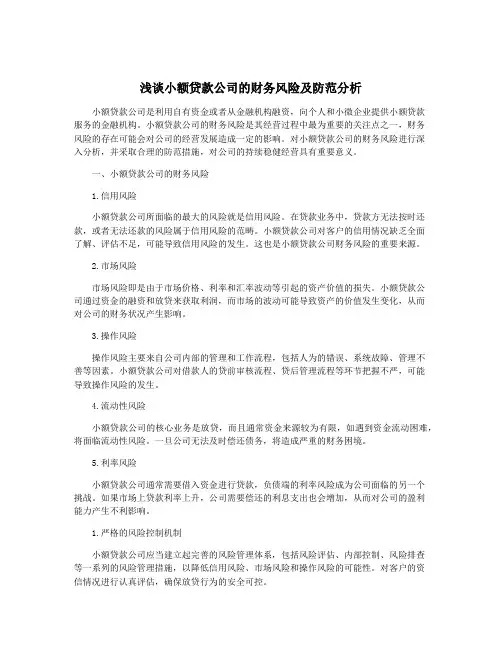 浅谈小额贷款公司的财务风险及防范分析
