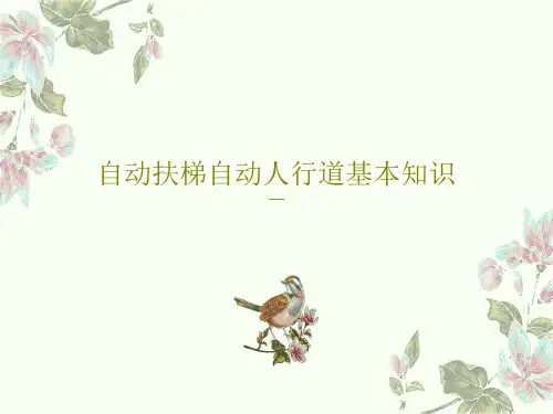 自动扶梯自动人行道基本知识38页PPT