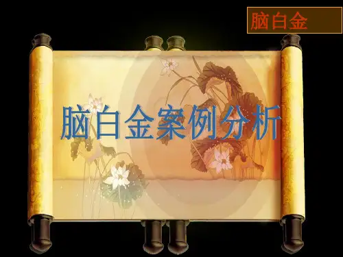 脑白金—案例分析PPT课件