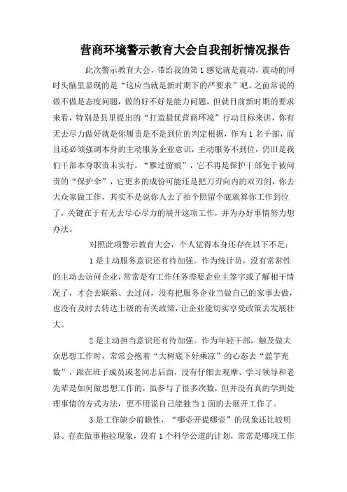 营商环境警示教育大会自我剖析情况报告