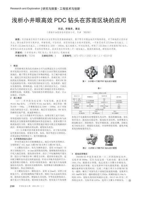 浅析小井眼高效PDC钻头在苏南区块的应用