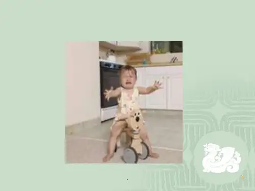 阑尾炎病人的护理PPT课件