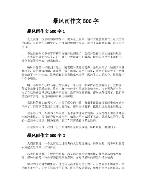 暴风雨作文500字
