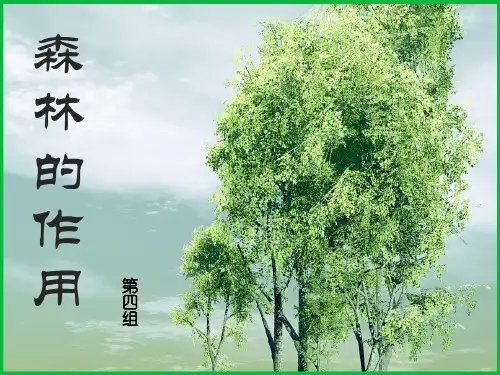 森林的作用