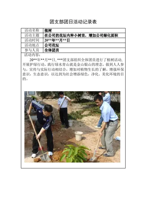 团日活动活动记录表