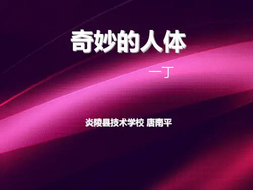 奇妙的人体