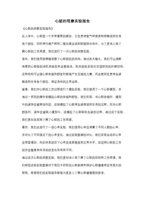 心脏的观察实验报告