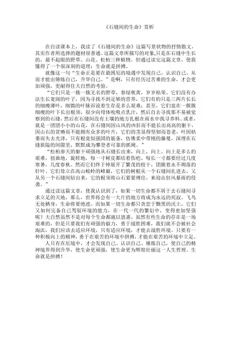 石缝间的生命赏析