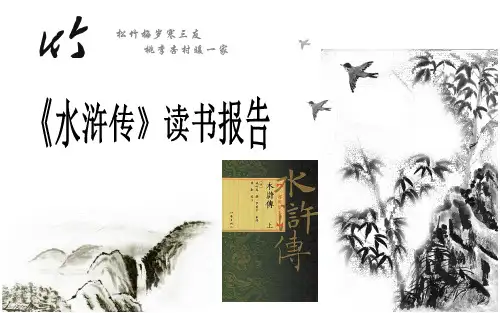 《水浒传》读书报告
