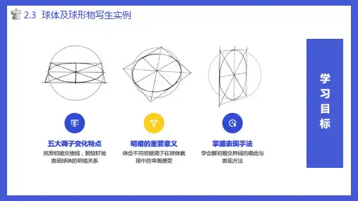 素描基础教程课件2.3球体及球形物写生实例