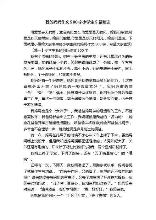 我的妈妈作文500字小学生5篇精选