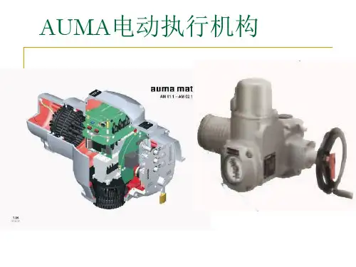 auma电动执行机构解析
