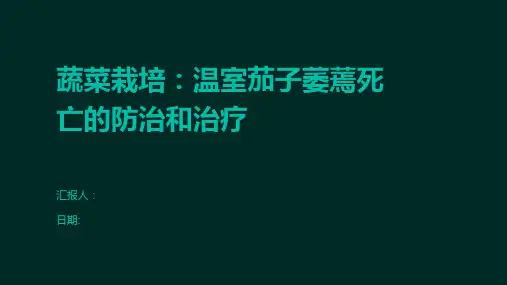 蔬菜栽培：温室茄子萎蔫死亡的防治和治疗