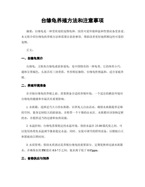 台缘龟养殖方法和注意事项