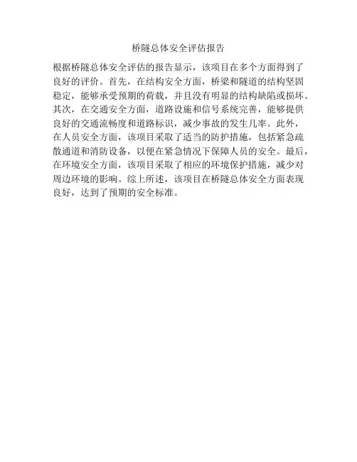 桥隧总体安全评估报告