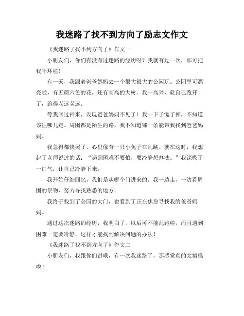 我迷路了找不到方向了励志文作文