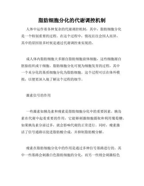 脂肪细胞分化的代谢调控机制