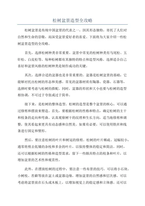 松树盆景造型全攻略