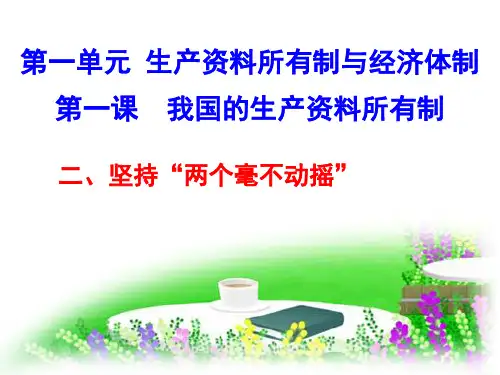 1.2-坚持“两个毫不动摇”