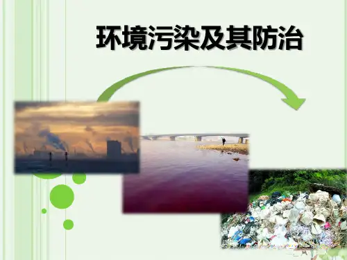 环境污染及其防治PPT课件【教学课件】