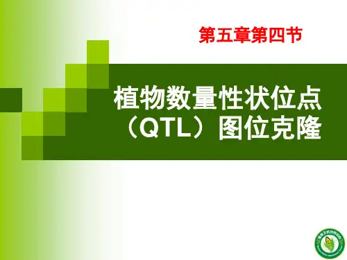 第五章第四节：植物数量性状QTL图位克隆方法剖析