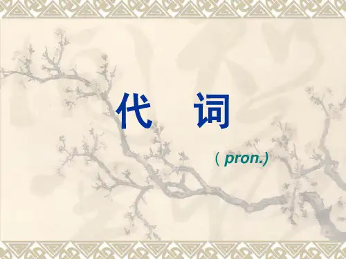 初中英语代词课件(精品全面)上课讲义